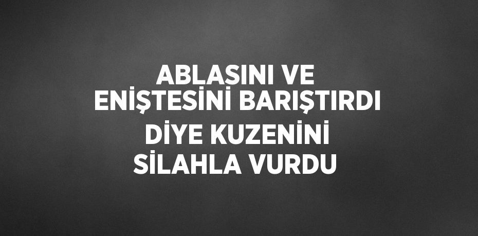 ABLASINI VE ENİŞTESİNİ BARIŞTIRDI DİYE KUZENİNİ SİLAHLA VURDU