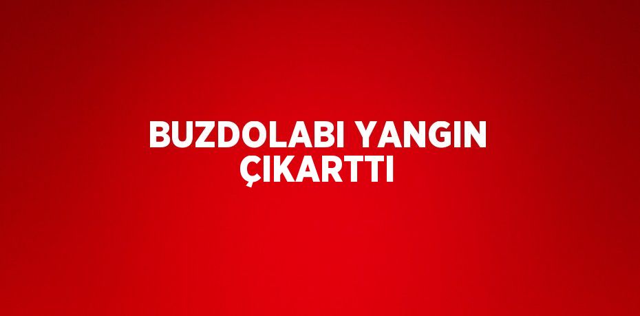 BUZDOLABI YANGIN ÇIKARTTI