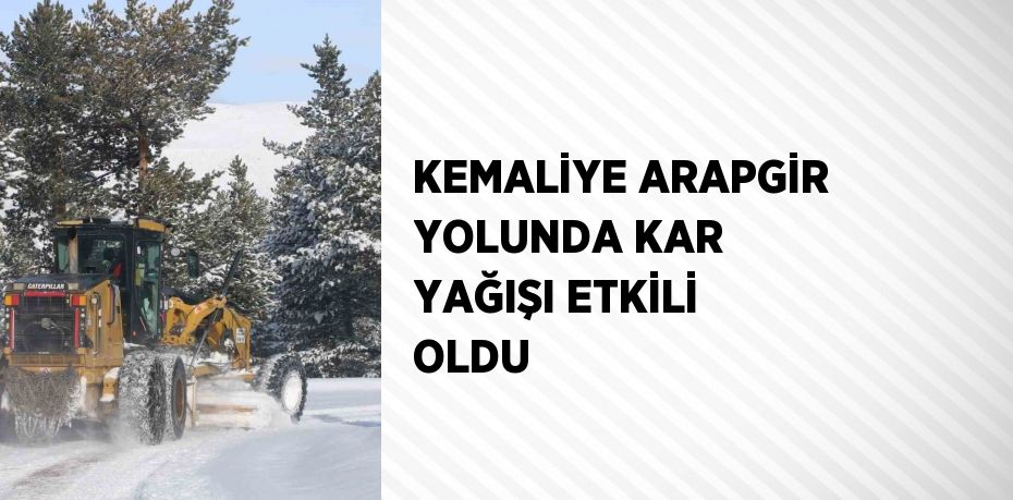 KEMALİYE ARAPGİR YOLUNDA KAR YAĞIŞI ETKİLİ OLDU