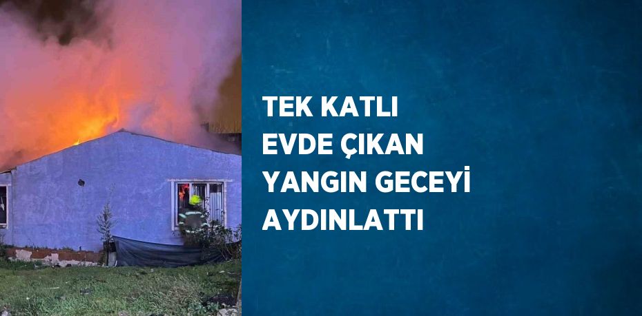 TEK KATLI EVDE ÇIKAN YANGIN GECEYİ AYDINLATTI