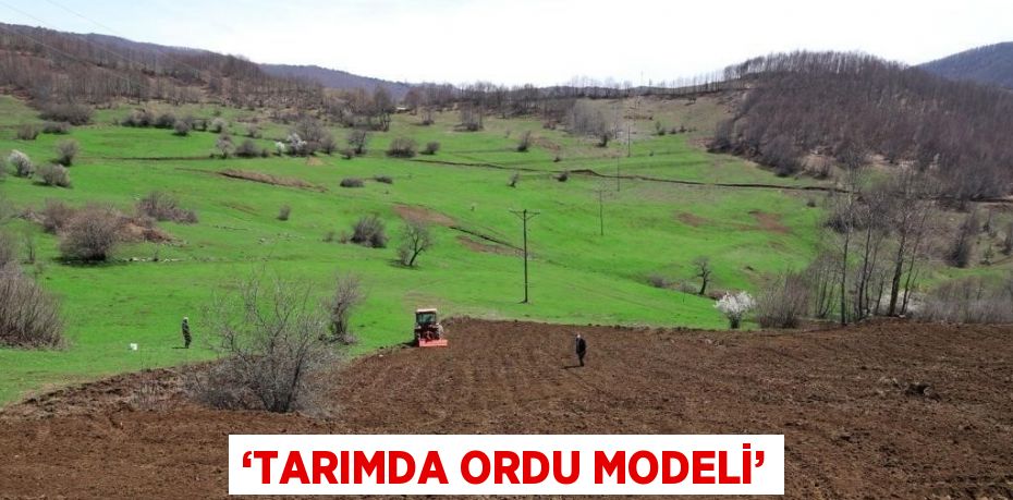 ‘TARIMDA ORDU MODELİ’