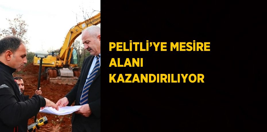 PELİTLİ’YE MESİRE ALANI KAZANDIRILIYOR