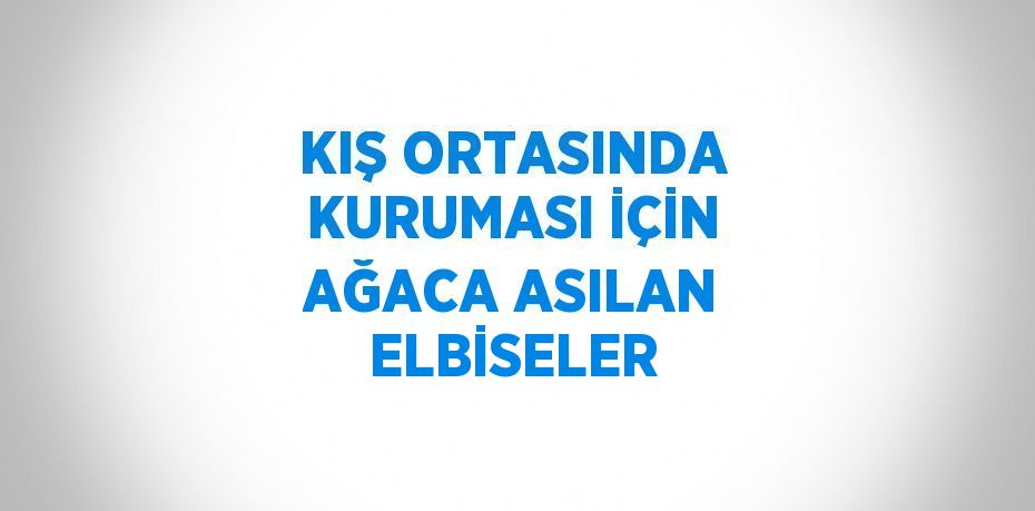 KIŞ ORTASINDA KURUMASI İÇİN AĞACA ASILAN ELBİSELER