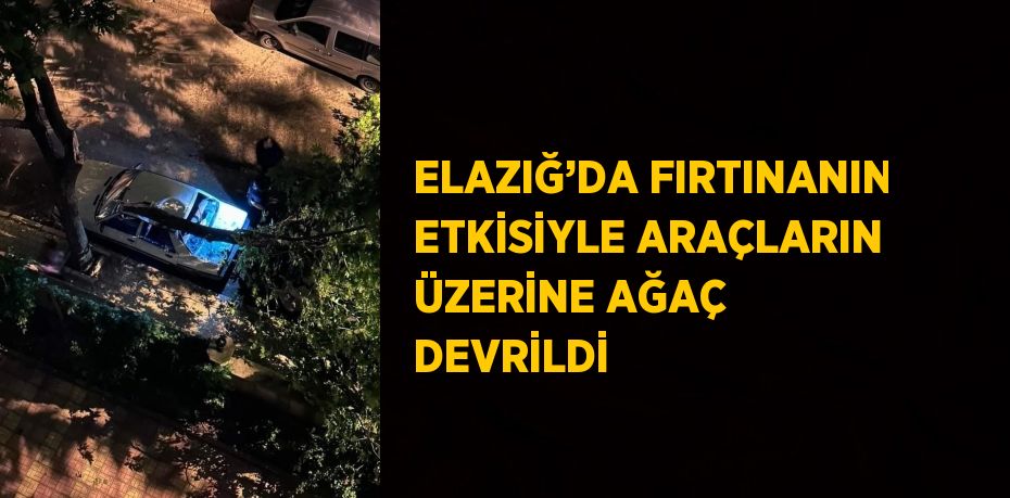 ELAZIĞ’DA FIRTINANIN ETKİSİYLE ARAÇLARIN ÜZERİNE AĞAÇ DEVRİLDİ