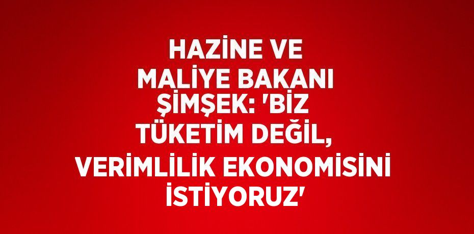 HAZİNE VE MALİYE BAKANI ŞİMŞEK: 'BİZ TÜKETİM DEĞİL, VERİMLİLİK EKONOMİSİNİ İSTİYORUZ'