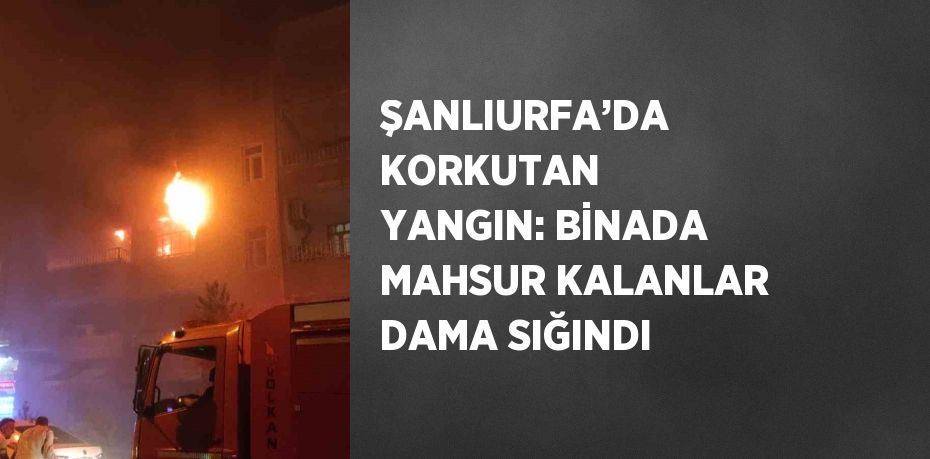 ŞANLIURFA’DA KORKUTAN YANGIN: BİNADA MAHSUR KALANLAR DAMA SIĞINDI