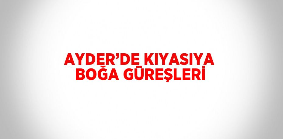 AYDER’DE KIYASIYA BOĞA GÜREŞLERİ