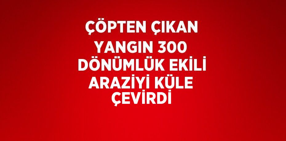 ÇÖPTEN ÇIKAN YANGIN 300 DÖNÜMLÜK EKİLİ ARAZİYİ KÜLE ÇEVİRDİ