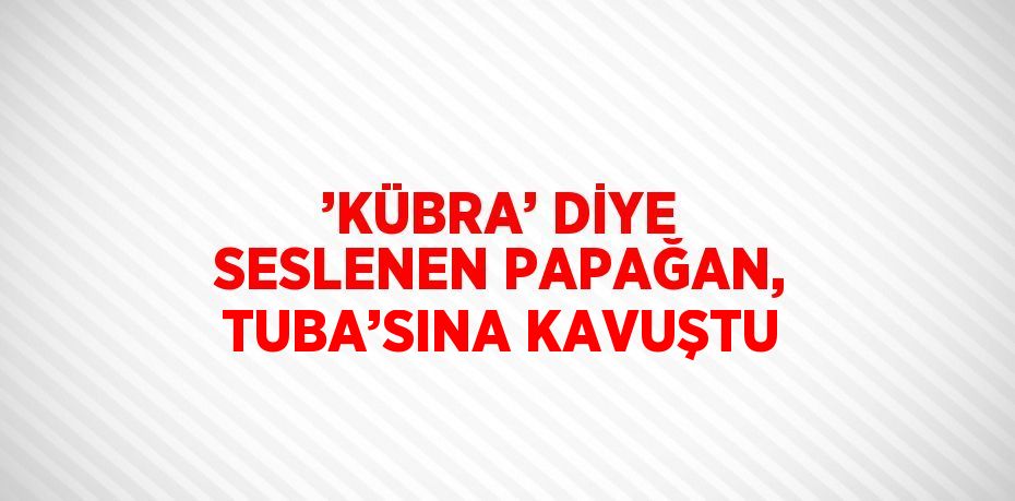 ’KÜBRA’ DİYE SESLENEN PAPAĞAN, TUBA’SINA KAVUŞTU