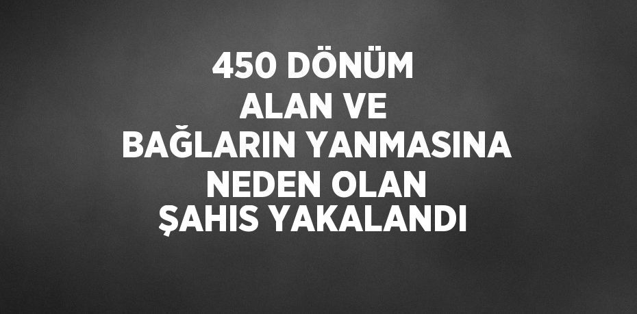 450 DÖNÜM ALAN VE BAĞLARIN YANMASINA NEDEN OLAN ŞAHIS YAKALANDI