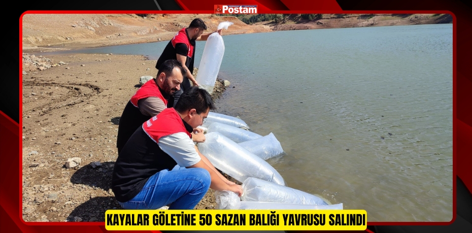 Kayalar göletine 50 sazan balığı yavrusu salındı