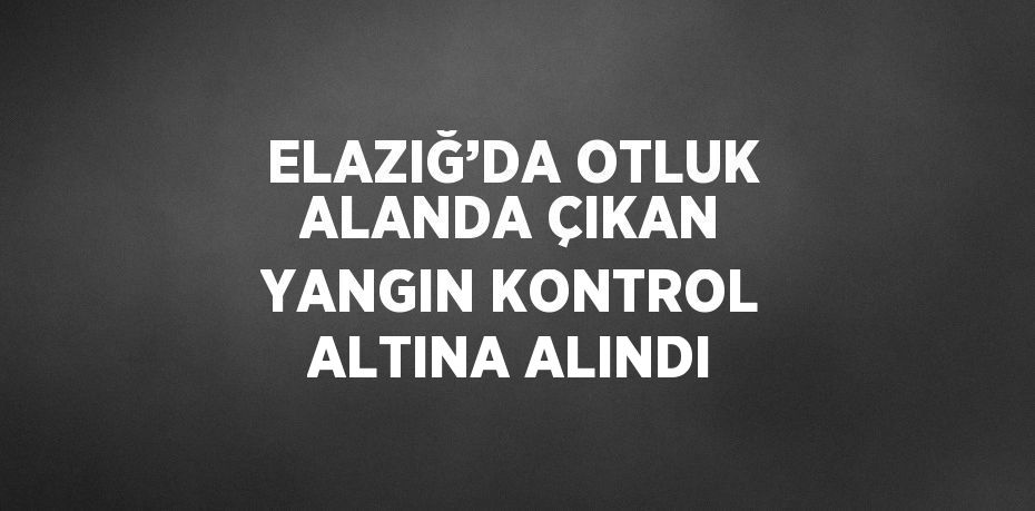 ELAZIĞ’DA OTLUK ALANDA ÇIKAN YANGIN KONTROL ALTINA ALINDI