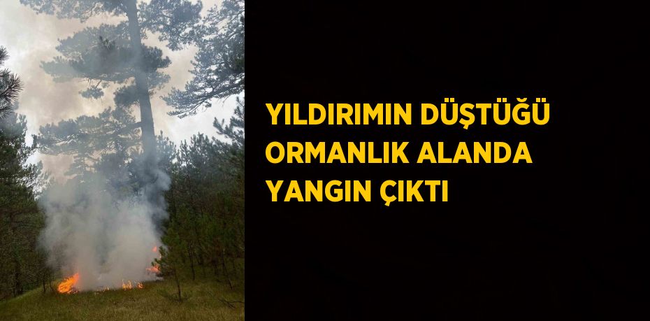 YILDIRIMIN DÜŞTÜĞÜ ORMANLIK ALANDA YANGIN ÇIKTI