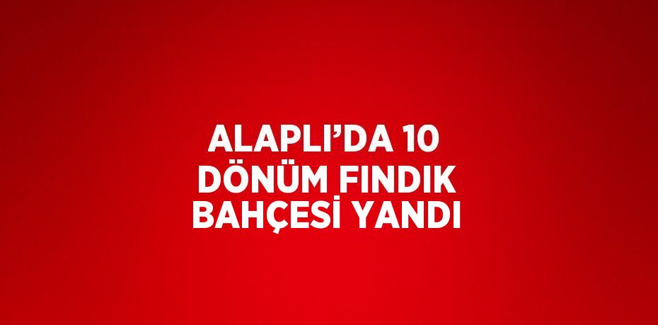 ALAPLI’DA 10 DÖNÜM FINDIK BAHÇESİ YANDI