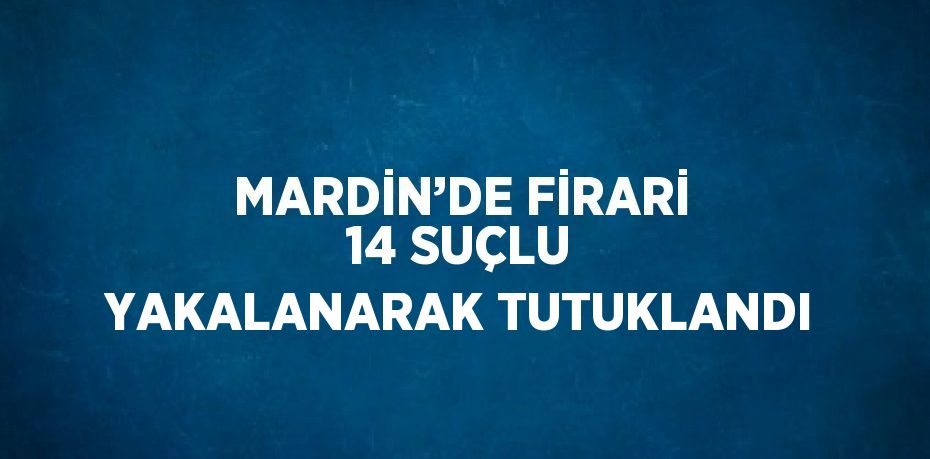 MARDİN’DE FİRARİ 14 SUÇLU YAKALANARAK TUTUKLANDI