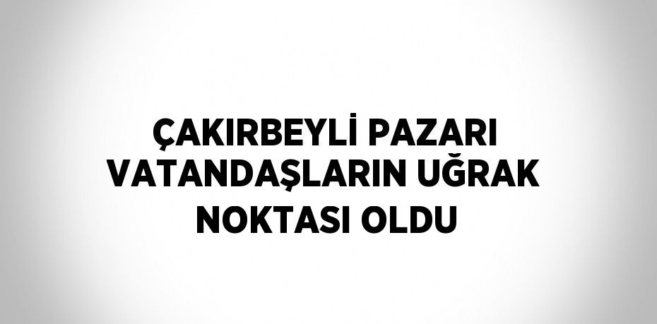 ÇAKIRBEYLİ PAZARI VATANDAŞLARIN UĞRAK NOKTASI OLDU