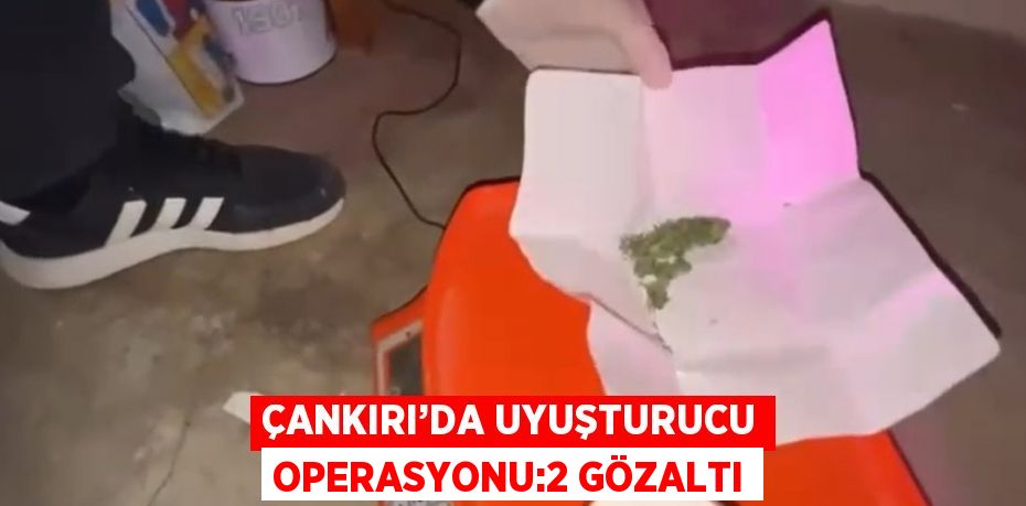 ÇANKIRI’DA UYUŞTURUCU OPERASYONU:2 GÖZALTI