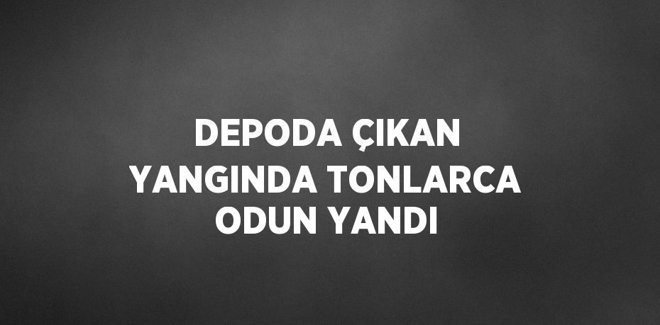 DEPODA ÇIKAN YANGINDA TONLARCA ODUN YANDI