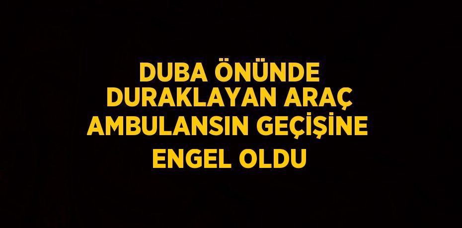 DUBA ÖNÜNDE DURAKLAYAN ARAÇ AMBULANSIN GEÇİŞİNE ENGEL OLDU