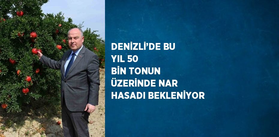 DENİZLİ’DE BU YIL 50 BİN TONUN ÜZERİNDE NAR HASADI BEKLENİYOR