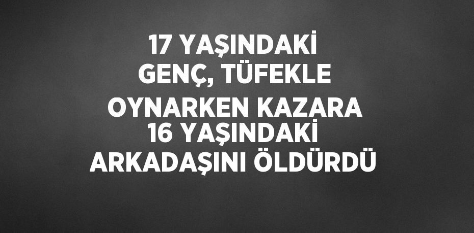 17 YAŞINDAKİ GENÇ, TÜFEKLE OYNARKEN KAZARA 16 YAŞINDAKİ ARKADAŞINI ÖLDÜRDÜ