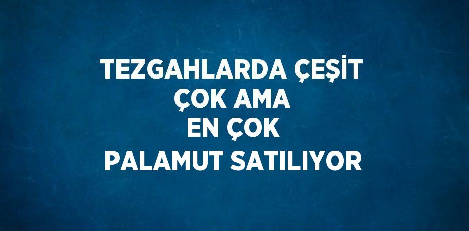 TEZGAHLARDA ÇEŞİT ÇOK AMA EN ÇOK PALAMUT SATILIYOR