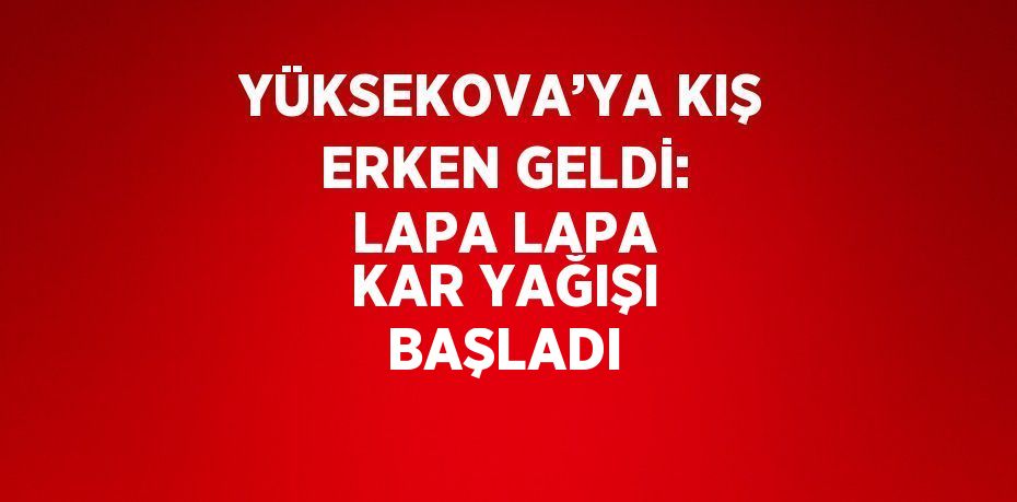 YÜKSEKOVA’YA KIŞ ERKEN GELDİ: LAPA LAPA KAR YAĞIŞI BAŞLADI