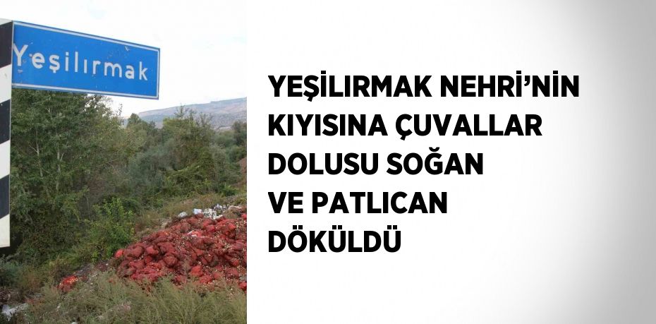 YEŞİLIRMAK NEHRİ’NİN KIYISINA ÇUVALLAR DOLUSU SOĞAN VE PATLICAN DÖKÜLDÜ