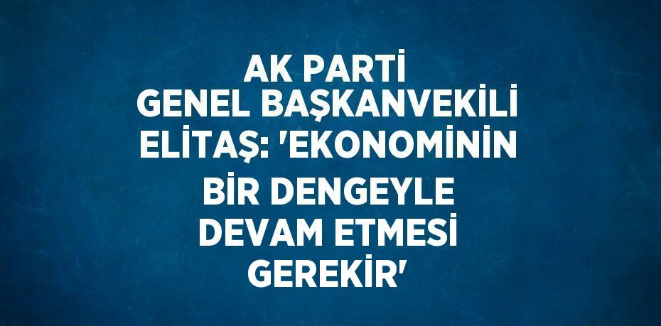 AK PARTİ GENEL BAŞKANVEKİLİ ELİTAŞ: 'EKONOMİNİN BİR DENGEYLE DEVAM ETMESİ GEREKİR'