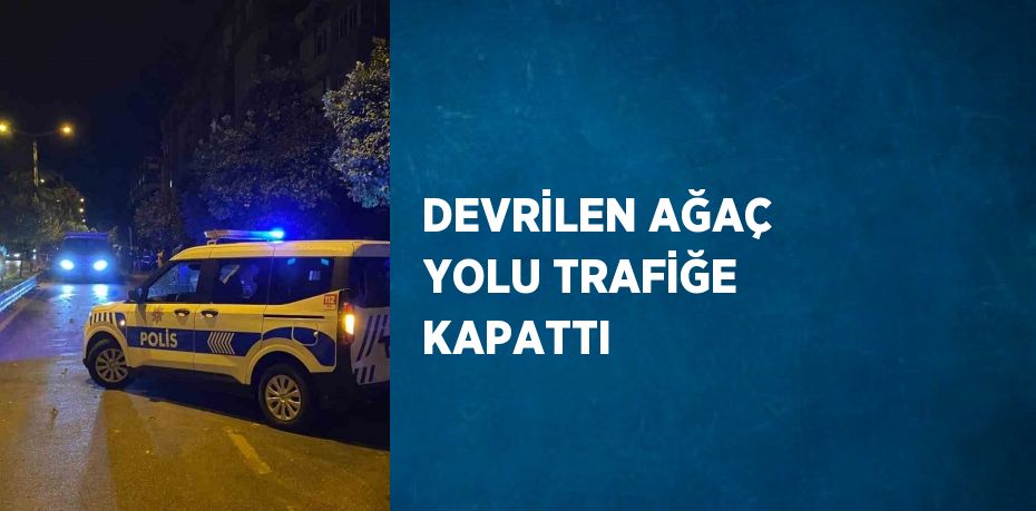 DEVRİLEN AĞAÇ YOLU TRAFİĞE KAPATTI