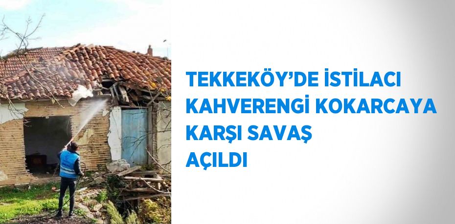 TEKKEKÖY’DE İSTİLACI KAHVERENGİ KOKARCAYA KARŞI SAVAŞ AÇILDI