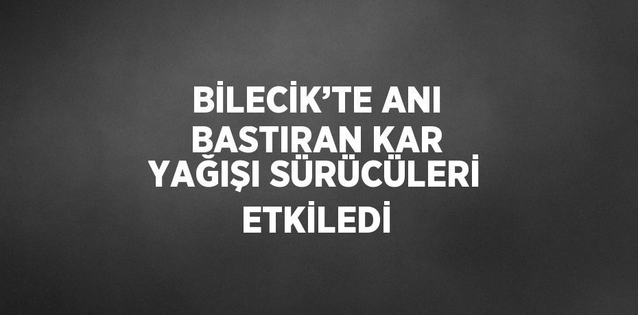 BİLECİK’TE ANI BASTIRAN KAR YAĞIŞI SÜRÜCÜLERİ ETKİLEDİ