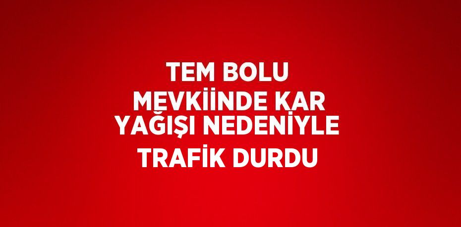 TEM BOLU MEVKİİNDE KAR YAĞIŞI NEDENİYLE TRAFİK DURDU