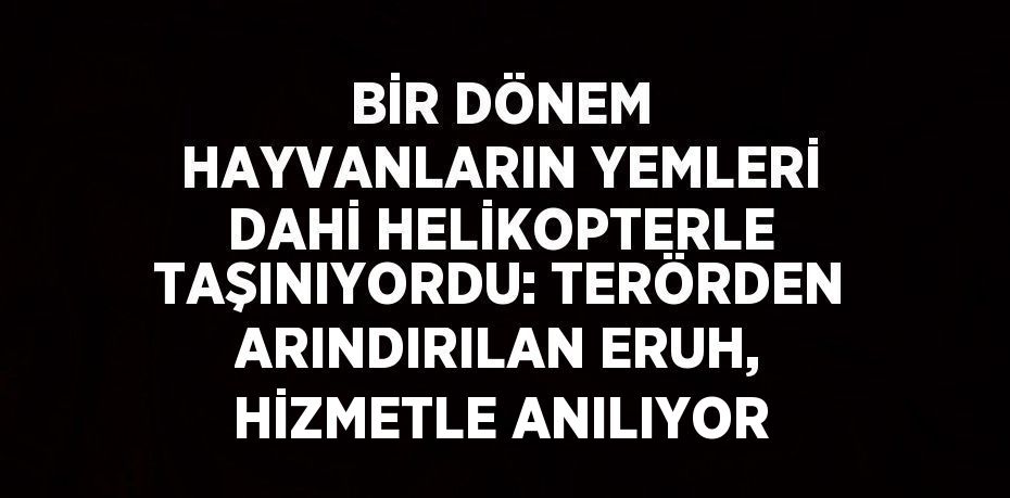 BİR DÖNEM HAYVANLARIN YEMLERİ DAHİ HELİKOPTERLE TAŞINIYORDU: TERÖRDEN ARINDIRILAN ERUH, HİZMETLE ANILIYOR