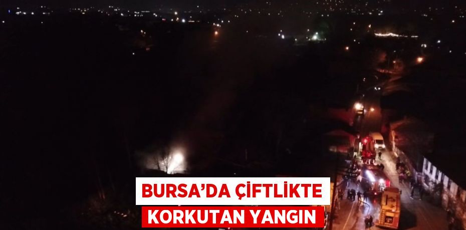 BURSA’DA ÇİFTLİKTE KORKUTAN YANGIN