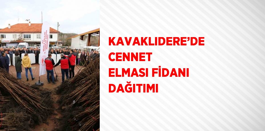 KAVAKLIDERE’DE CENNET ELMASI FİDANI DAĞITIMI