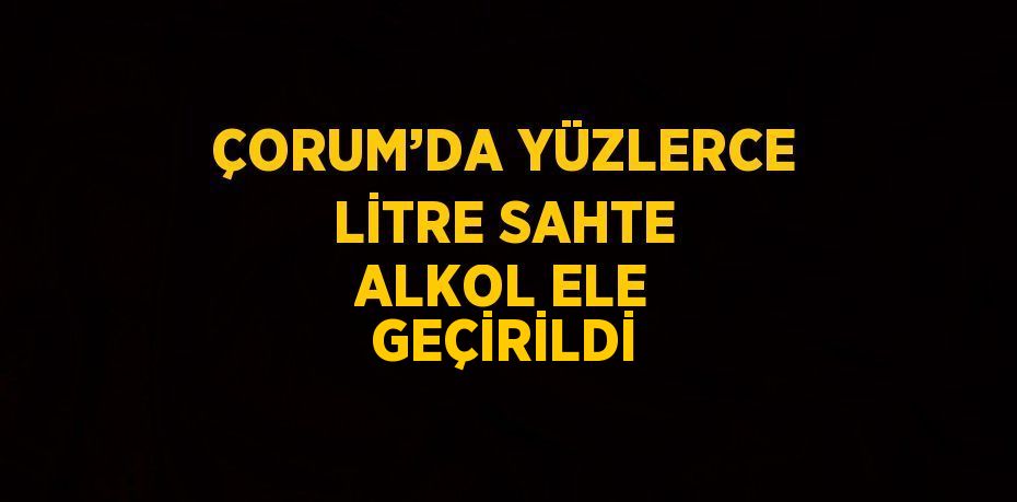 ÇORUM’DA YÜZLERCE LİTRE SAHTE ALKOL ELE GEÇİRİLDİ