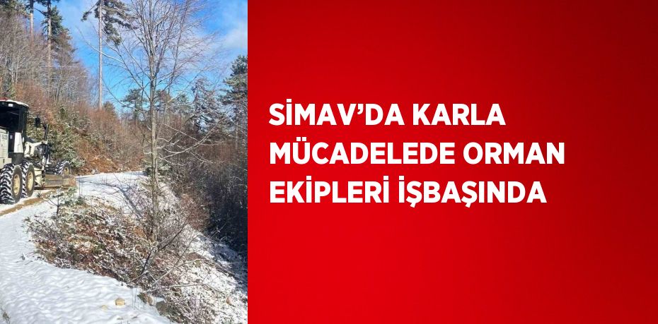 SİMAV’DA KARLA MÜCADELEDE ORMAN EKİPLERİ İŞBAŞINDA