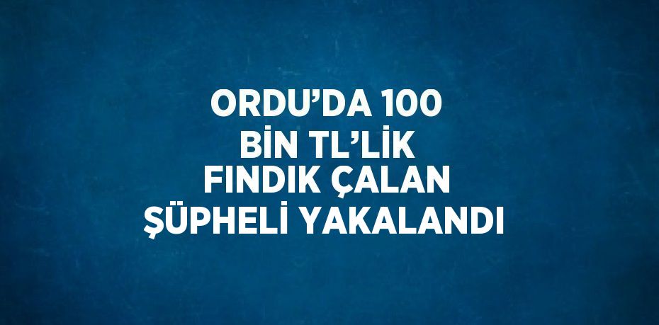 ORDU’DA 100 BİN TL’LİK FINDIK ÇALAN ŞÜPHELİ YAKALANDI