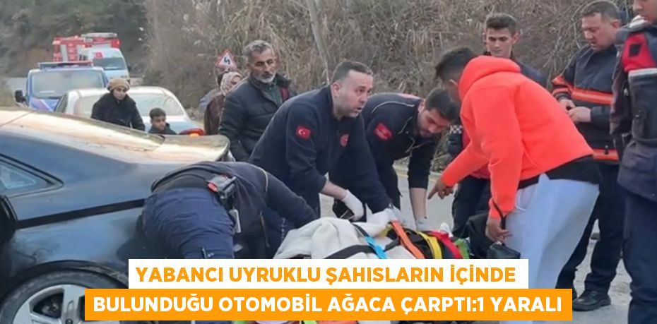 YABANCI UYRUKLU ŞAHISLARIN İÇİNDE BULUNDUĞU OTOMOBİL AĞACA ÇARPTI:1 YARALI