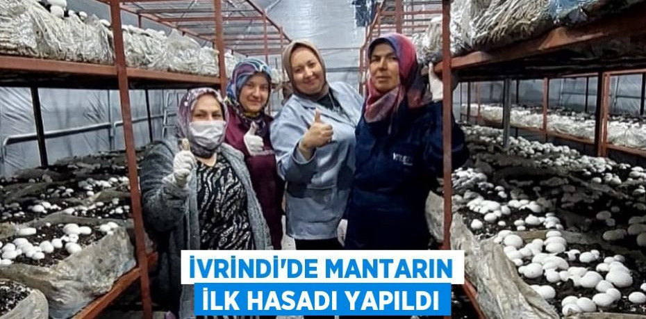 İvrindi'de Mantarın İlk Hasadı Yapıldı