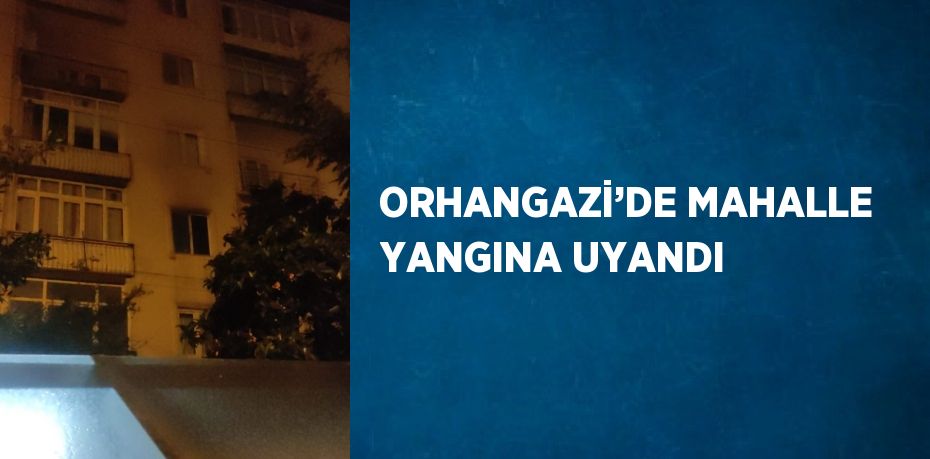 ORHANGAZİ’DE MAHALLE YANGINA UYANDI