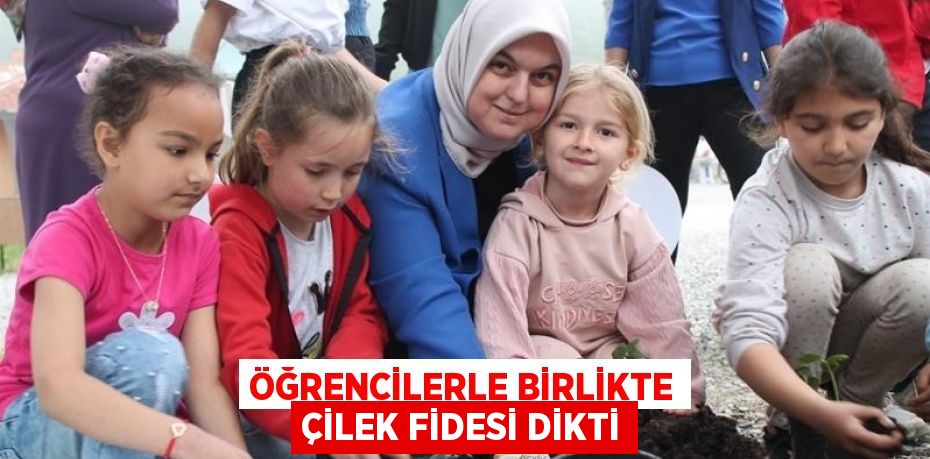 ÖĞRENCİLERLE BİRLİKTE ÇİLEK FİDESİ DİKTİ