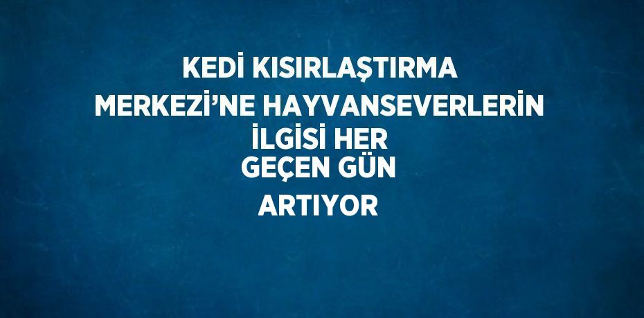 KEDİ KISIRLAŞTIRMA MERKEZİ’NE HAYVANSEVERLERİN İLGİSİ HER GEÇEN GÜN ARTIYOR