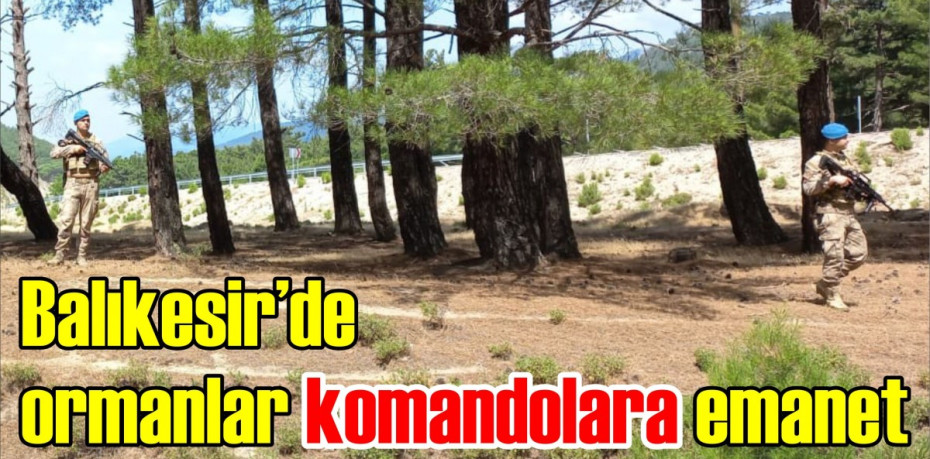 Balıkesir’de ormanlar komandolara emanet