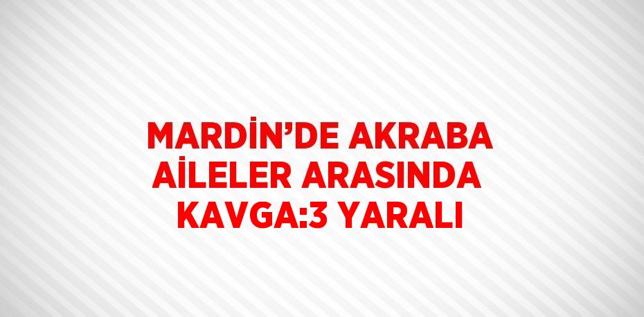 MARDİN’DE AKRABA AİLELER ARASINDA KAVGA:3 YARALI