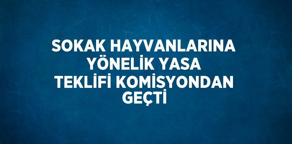 SOKAK HAYVANLARINA YÖNELİK YASA TEKLİFİ KOMİSYONDAN GEÇTİ