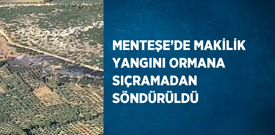 MENTEŞE’DE MAKİLİK YANGINI ORMANA SIÇRAMADAN SÖNDÜRÜLDÜ