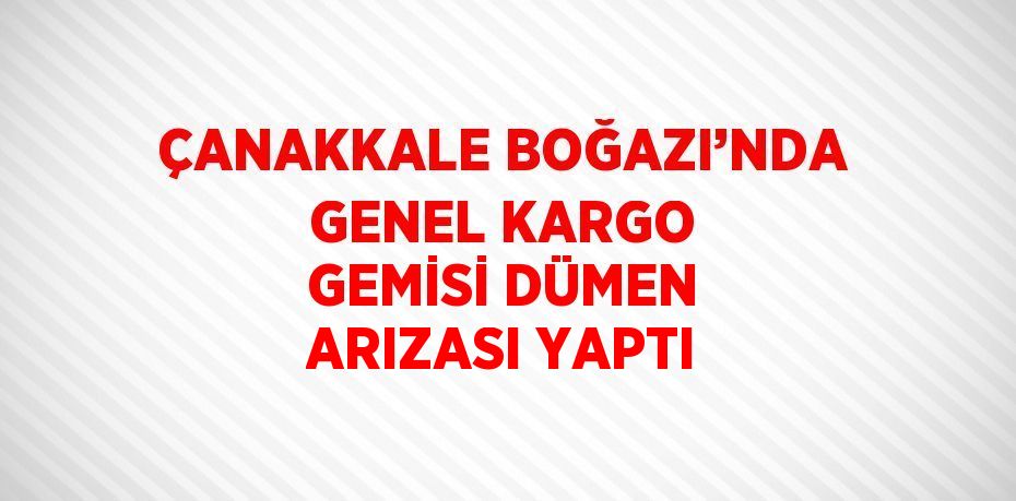 ÇANAKKALE BOĞAZI’NDA GENEL KARGO GEMİSİ DÜMEN ARIZASI YAPTI