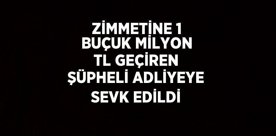 ZİMMETİNE 1 BUÇUK MİLYON TL GEÇİREN ŞÜPHELİ ADLİYEYE SEVK EDİLDİ